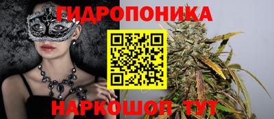 стаф Балахна