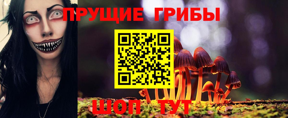 Дедовск  Псилоцибиновые грибы GOLDEN TEACHER  Вход с VPN 